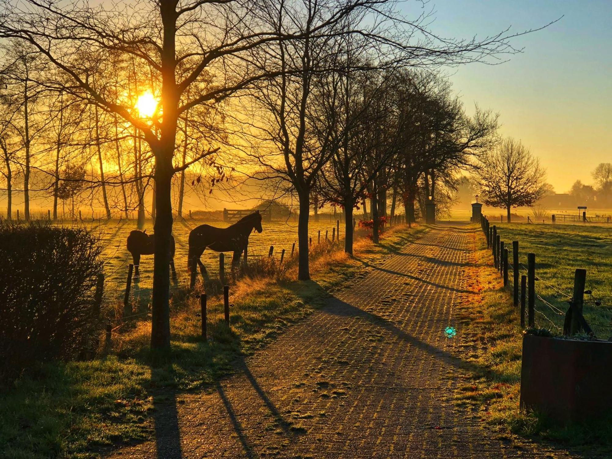 B&B Zandhuizen エクステリア 写真