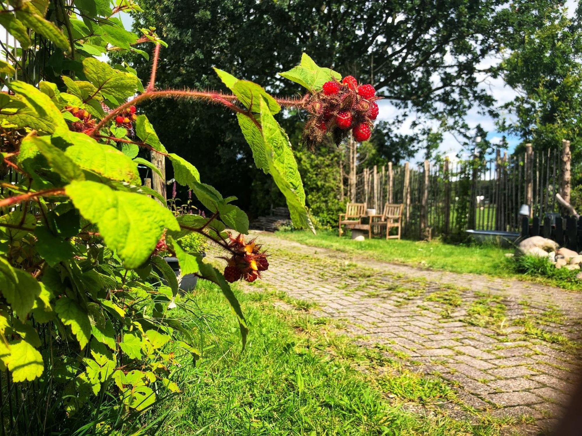 B&B Zandhuizen エクステリア 写真