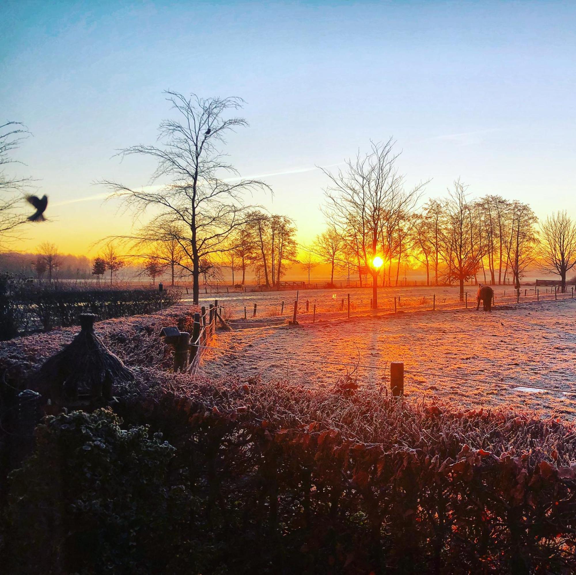 B&B Zandhuizen エクステリア 写真