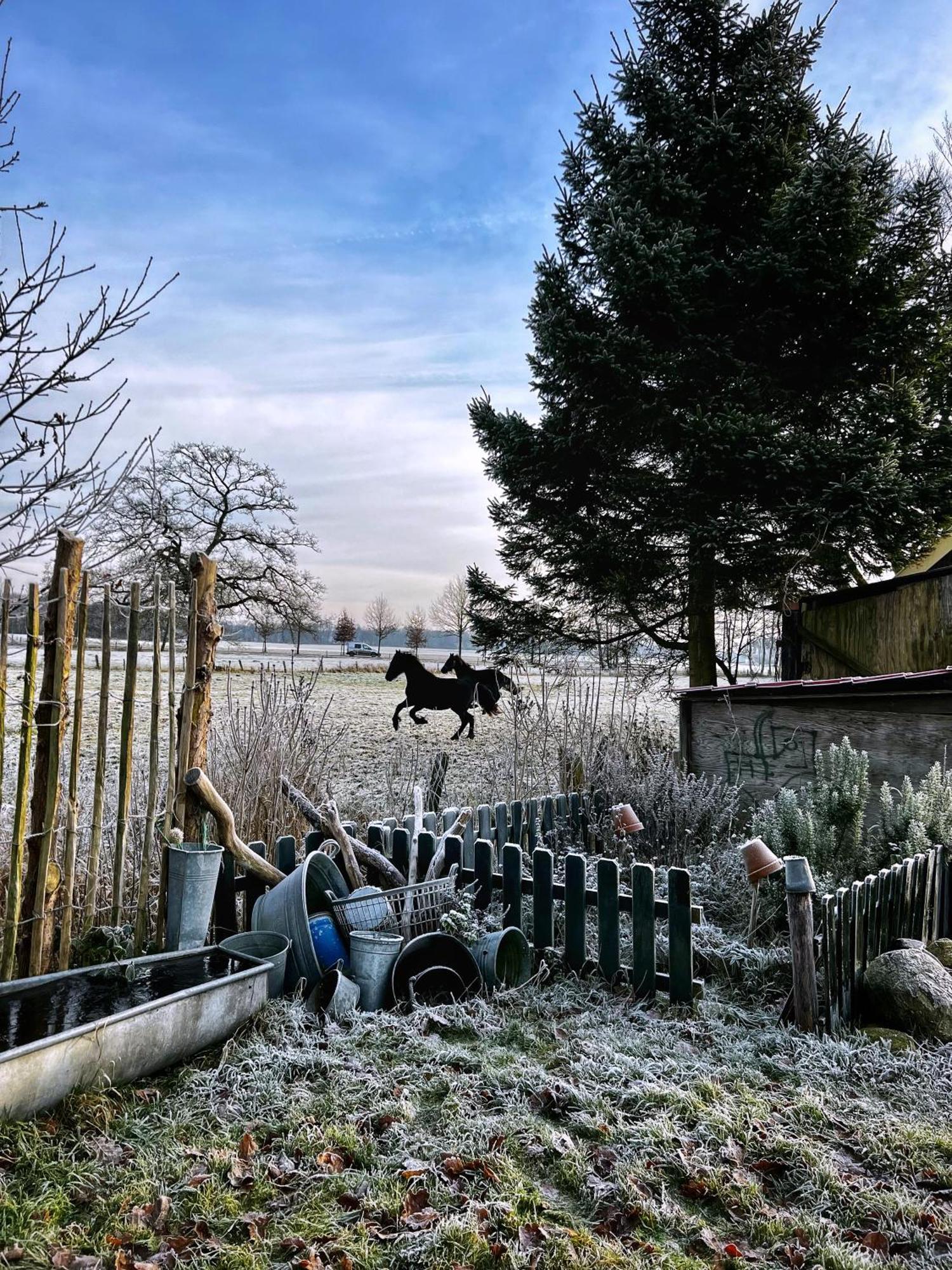 B&B Zandhuizen エクステリア 写真
